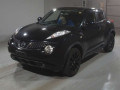 2013 Nissan JUKE