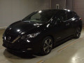 2021 Nissan Leaf