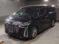 2022 Toyota Alphard
