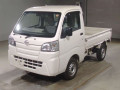 2019 Daihatsu Hijet Truck