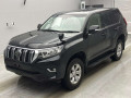 2019 Toyota Land Cruiser Prado