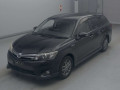 2013 Toyota Corolla Fielder