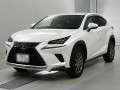 2018 Lexus NX