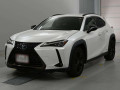 2021 Lexus UX