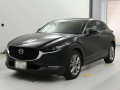 2019 Mazda CX-30