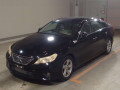 2010 Toyota Mark X