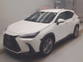 2022 Lexus NX