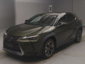 2019 Lexus UX