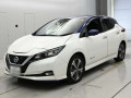 2020 Nissan Leaf