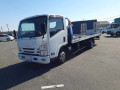2019 Isuzu Elf Truck