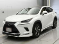 2019 Lexus NX