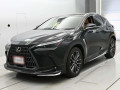 2023 Lexus NX