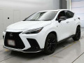 2022 Lexus NX