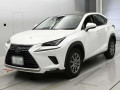 2018 Lexus NX