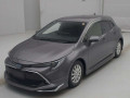 2021 Toyota Corolla Sports