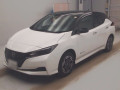 2022 Nissan Leaf