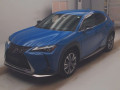 2021 Lexus UX