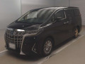 2021 Toyota Alphard Hybrid