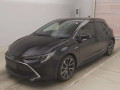 2019 Toyota Corolla Sports