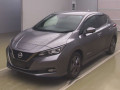 2022 Nissan Leaf