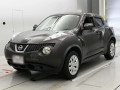 2011 Nissan JUKE