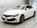 2019 Toyota Mark X