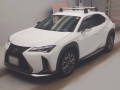 2020 Lexus UX