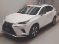 2021 Lexus NX