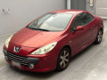 2007 Peugeot 307