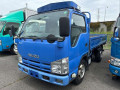 2011 Isuzu Elf Truck