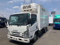 2017 Isuzu Elf Truck