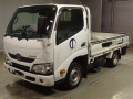 2019 Toyota Dyna Truck