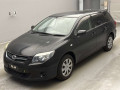 2010 Toyota Corolla Fielder
