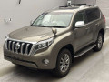 2017 Toyota Land Cruiser Prado