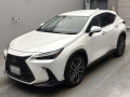 2021 Lexus NX