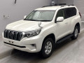 2021 Toyota Land Cruiser Prado