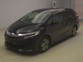 2017 Honda SHUTTLE