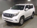 2014 Toyota Land Cruiser Prado