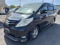 2009 Toyota Alphard