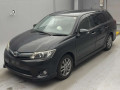 2013 Toyota Corolla Fielder