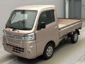 2021 Toyota Pixis Truck