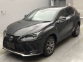 2021 Lexus NX