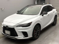 2025 Lexus RX