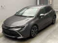 2021 Toyota Corolla Sports