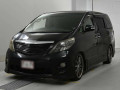 2010 Toyota Alphard