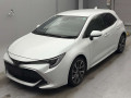 2021 Toyota Corolla Sports