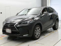 2015 Lexus NX
