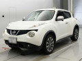 2012 Nissan JUKE