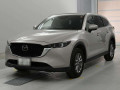 2022 Mazda CX-8