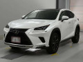 2020 Lexus NX
